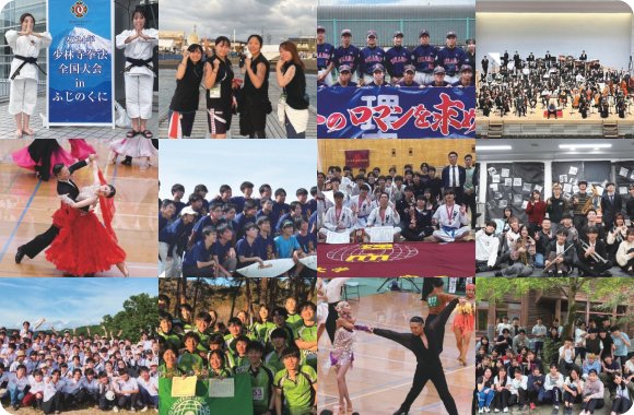 2024年度 （会報誌No.84にてご報告）