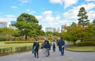 リサイズ　07_苑内は東京都心の広大なオアシス.jpg